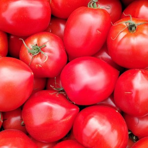 Tomates coeur de boeuf - 2 kg