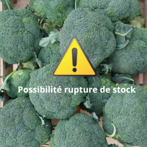 Chou brocoli - Par unité