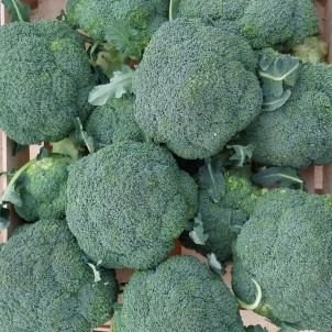 Brocoli