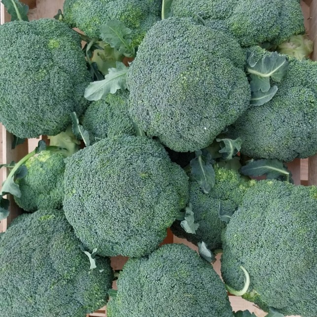 Chou brocoli - Par unité