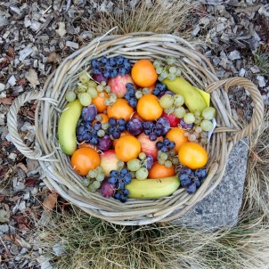 Corbeille de Fruits